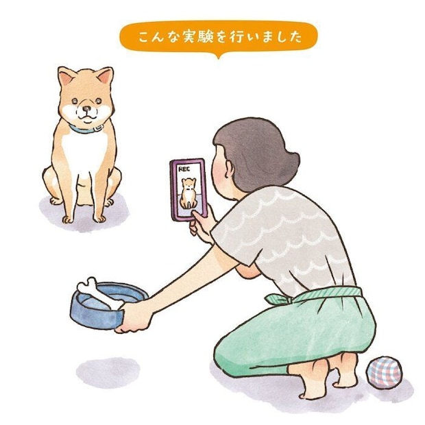イラスト/フジマツミキ