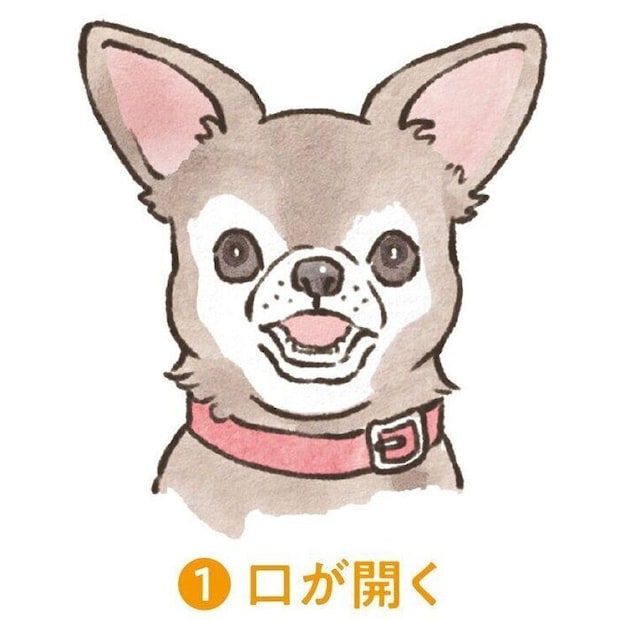イラスト/フジマツミキ