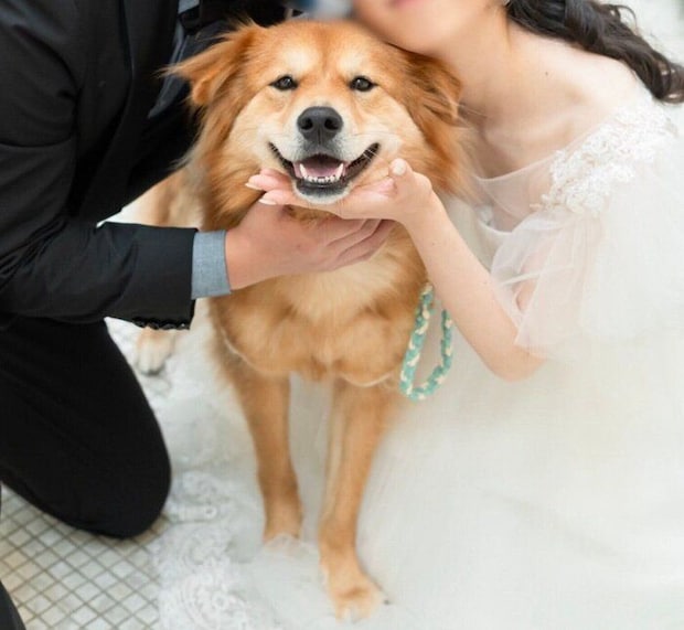 飼い主さん夫婦の結婚式に参加したシルビアちゃん