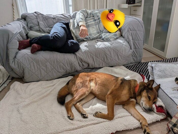 連休中の飼い主さんの夫とのひととき