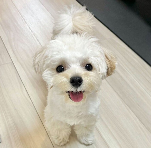 1才になったぽてとくん