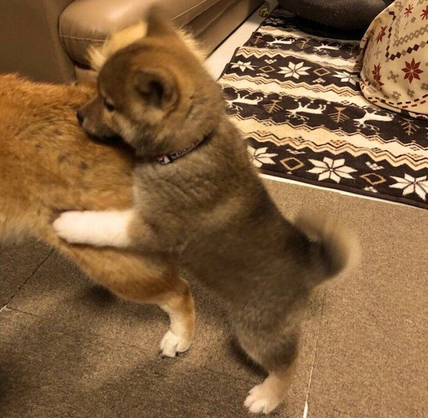 やんちゃさがうかがえるゆなちゃん