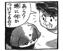 散歩中に生まれた、ちょっと笑える出来事|連載「シーズー犬のてんぽ」第304回