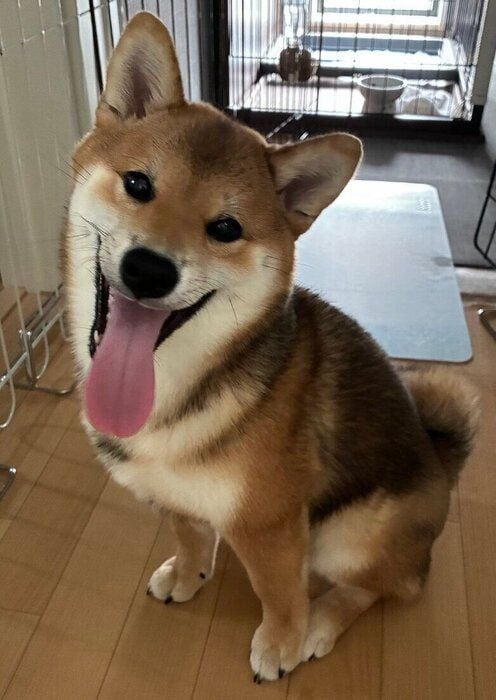 現在のなっちゃん
