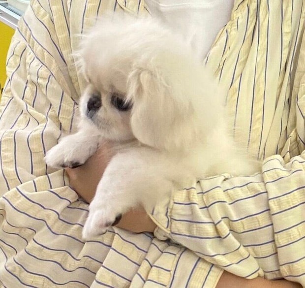 お迎え初日のぺっぺちゃん
