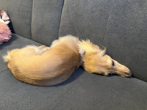 別アングルから見たちゃちゃちゃんの寝姿