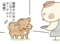どんどん動かなくなる愛犬と、甘やかす飼い主｜連載「こぐま犬てんすけ」vol.316