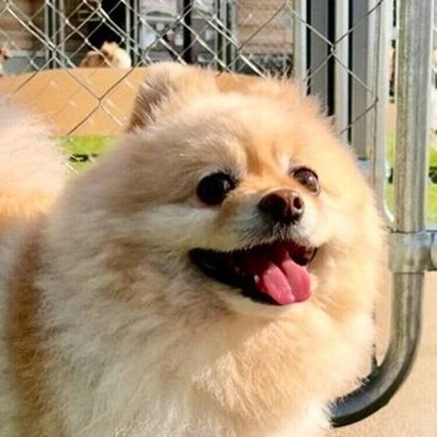 颯太くんのとても満足そうな“笑顔”