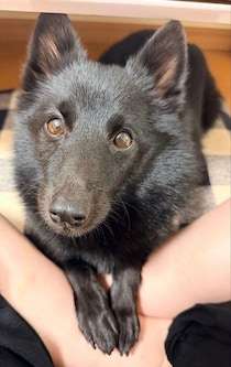 飼い主さんの“お化粧見守り隊”をする愛犬がかわいい！愛おしすぎて仕事に行きたくなくなる！？
