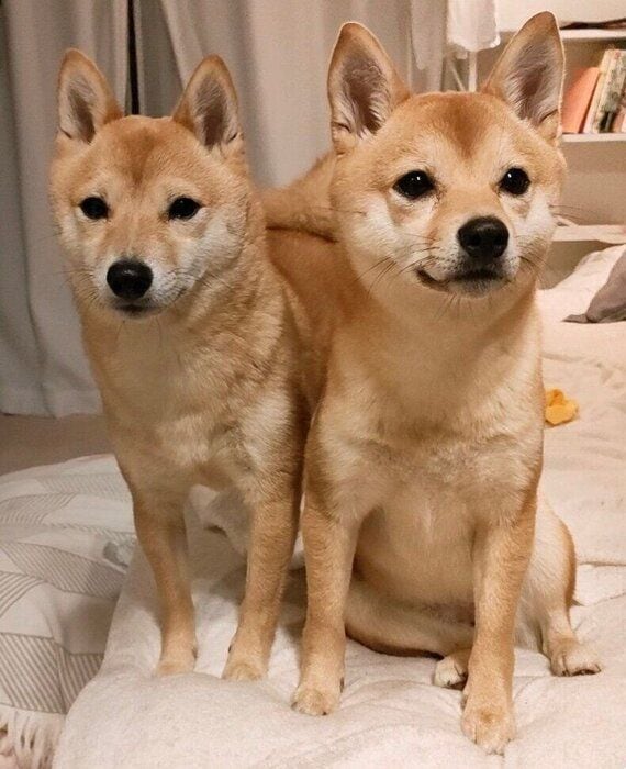 けんたくんと、仲良しの友達・メイちゃん