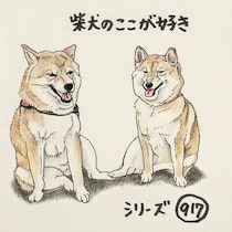柴犬あるある、「親戚柴さん」を見つけるとなんだか嬉しいとこ｜連載「ここ掘れここ柴」vol.318