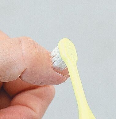 歯ブラシの正しい動かし方