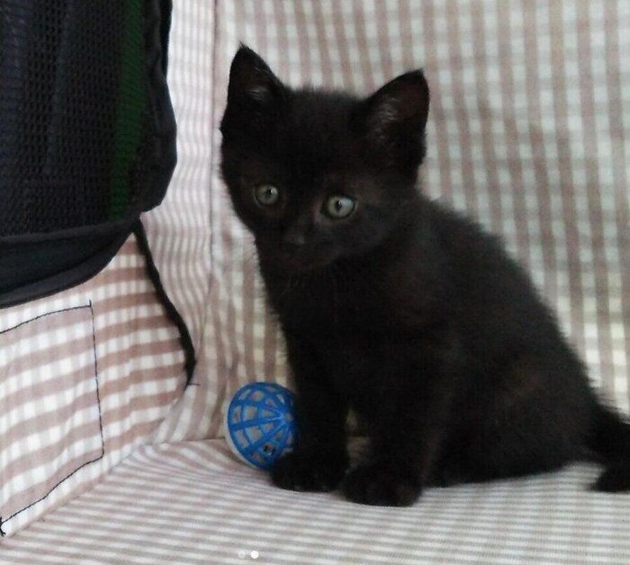 保護して3日目のはなびくん