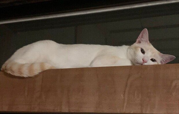 「バリバリボウルタワー」待ちのかやちゃん。