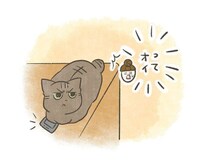 「俺のものは俺のもの！」猫と“失せ物”エピソード【連載】交通事故にあった猫を拾いました#232