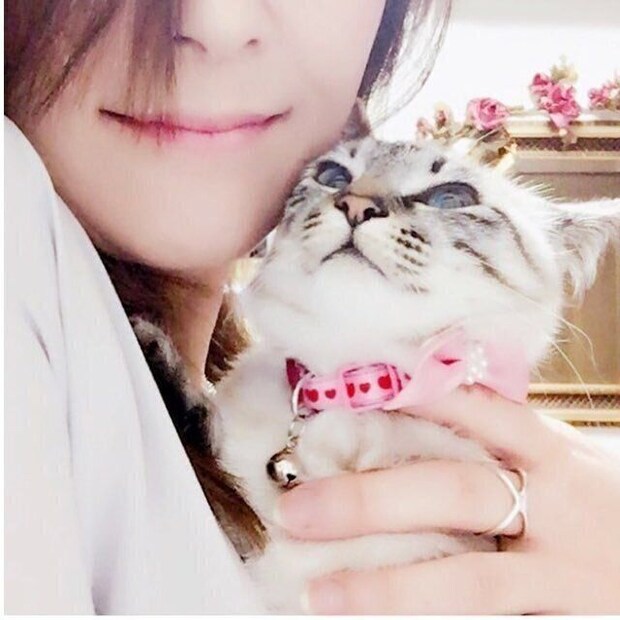 飼い主と一緒に写真に写る猫