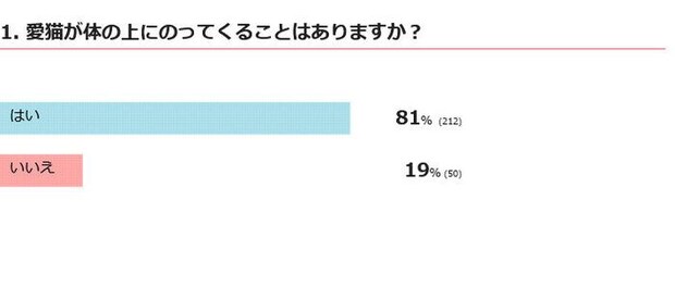 愛猫は体の上にのってくる？