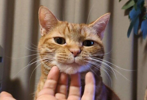 いい表情をするぼんちゃん