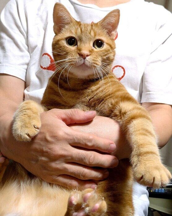 抱っこしてもらってご機嫌なぼんちゃん