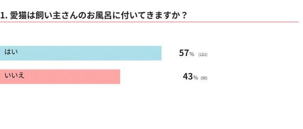 愛猫は飼い主さんのお風呂に付いてきますか？