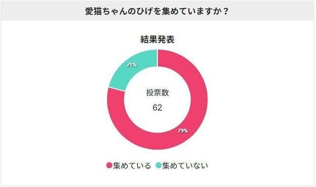 猫のひげを集めている?結果