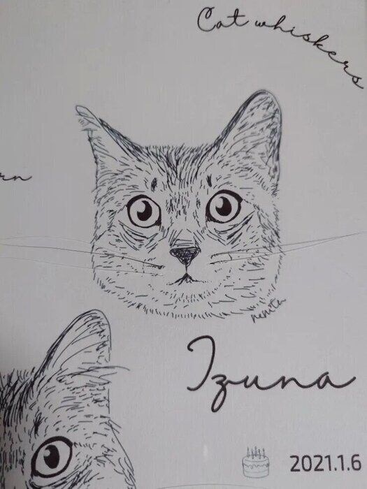 猫ひげストックイラスト アップ