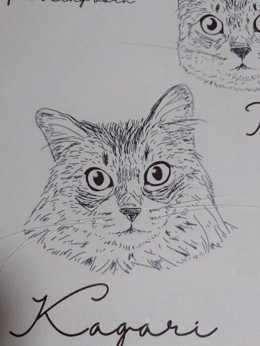 アップ 猫ひげストックイラスト