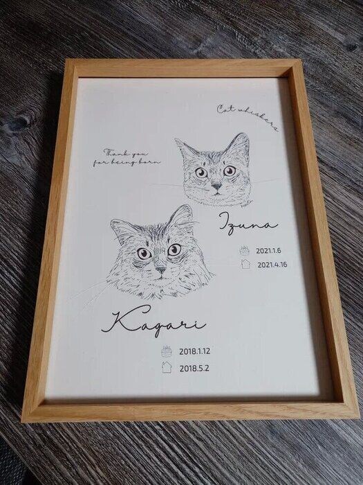 猫ストックイラスト