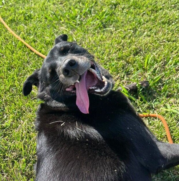 笑顔が眩しいはなちゃん。