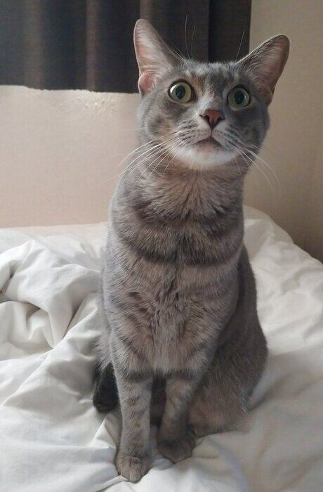 4才になった現在のベスカーくん