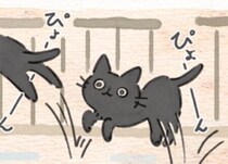 シニア猫なのに元気すぎ！今も昔も毎日ドタバタな愛猫と飼い主の幸せな悩み【連載】ねこ連れ草 345話め