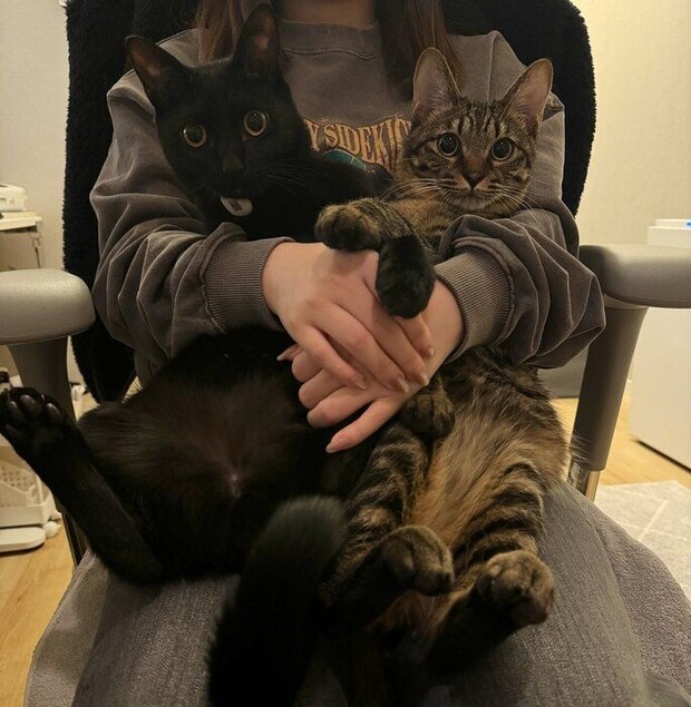 成長後の2匹の様子 すっかり大きくなった