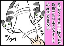 部屋を出ると…猫が必死に追いかけてくる！可愛すぎる別れ際の攻防戦【連載】もふもふスコたん#361