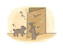 どんな扉も開けちゃう!?　新入り猫のイタズラ事件簿【連載】交通事故にあった猫を拾いました#233