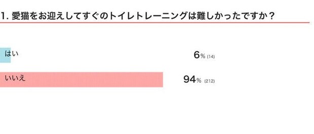 愛猫をお迎えしてすぐのトイレトレーニングは難しかった?