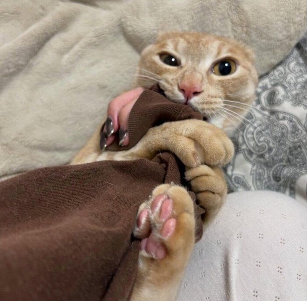 「夜中に遊んでスイッチオン」なぽっけくん