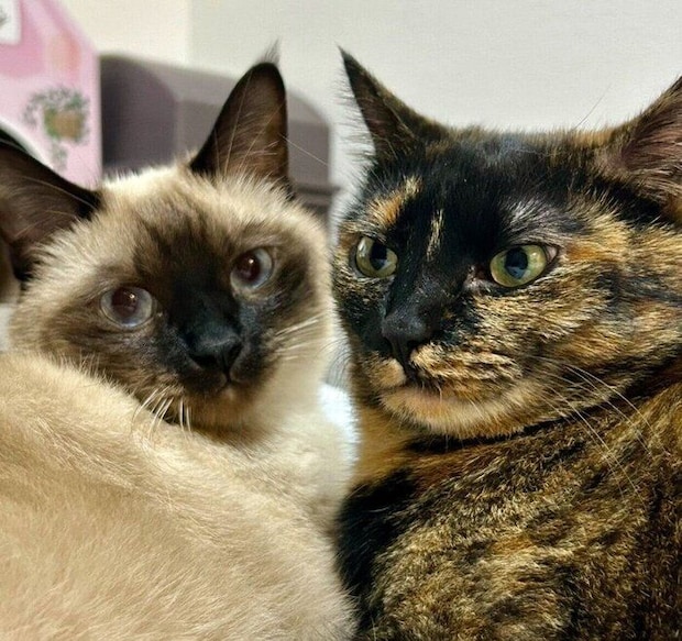 くっつくサラミちゃん、ナッツくん。