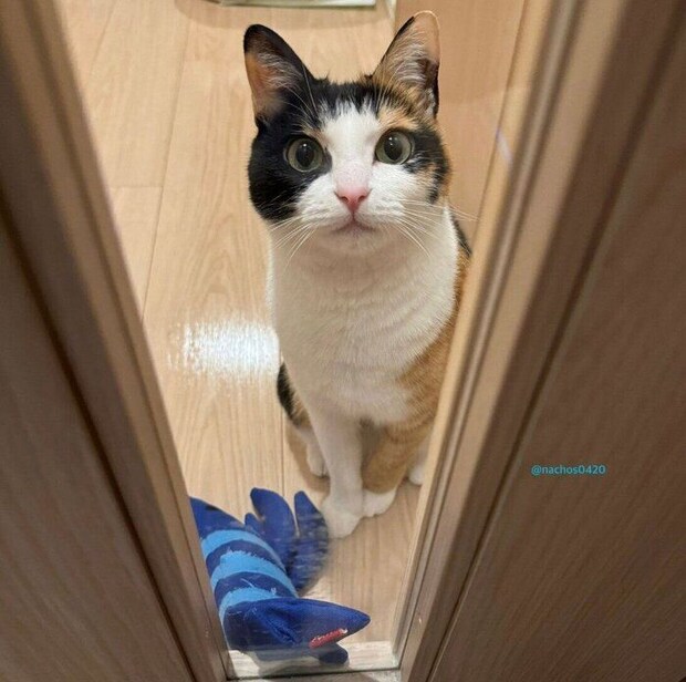 3才のころのなっちゃん。