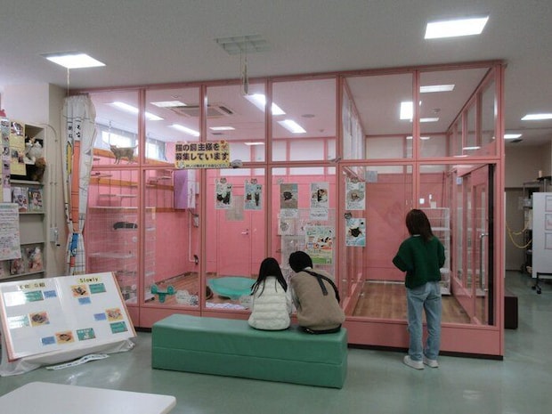 写真提供／名古屋市動物愛護センター