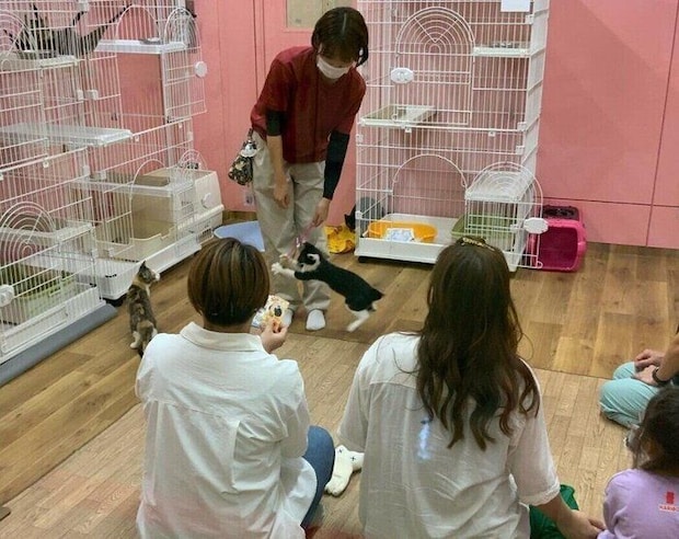 写真提供／名古屋市動物愛護センター