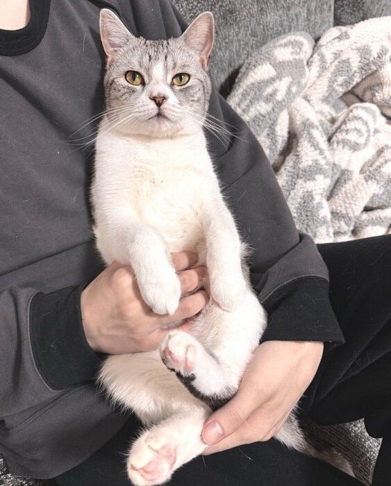 パパさんにべったりな春陽くん。