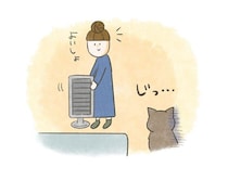 猫はヒーターを毎年覚えてる？冬の定番アイテムに集まる猫【連載】交通事故にあった猫を拾いました#234