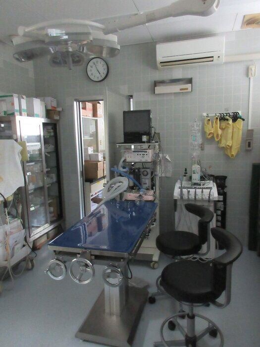 写真提供/名古屋市動物愛護センター