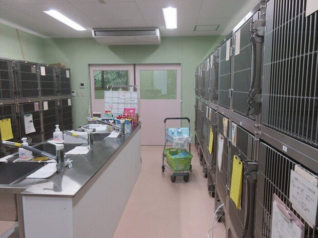 写真提供/名古屋市動物愛護センター