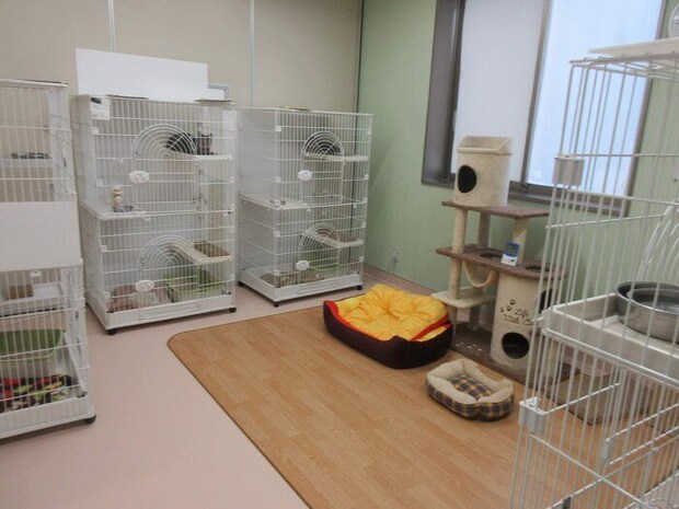 写真提供/名古屋市動物愛護センター