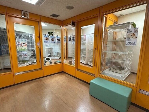 写真提供/名古屋市動物愛護センター