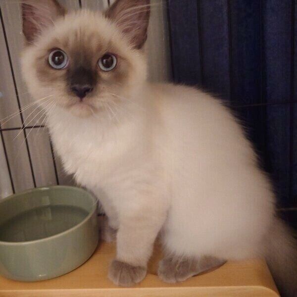 生後4カ月ごろのソラくん。