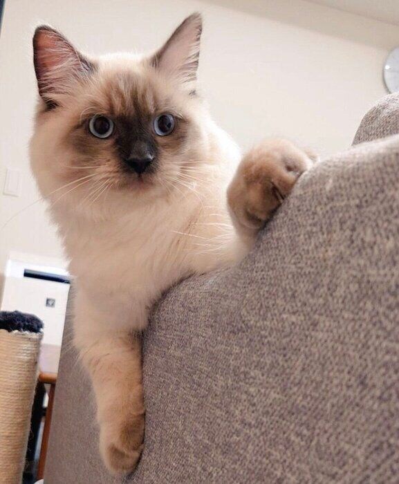 わんぱくでおしゃべりなタイプのソラくん。