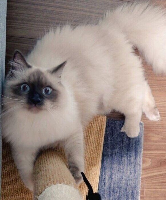 カメラ目線のソラくん。