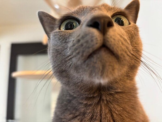 どアップのとあくん。